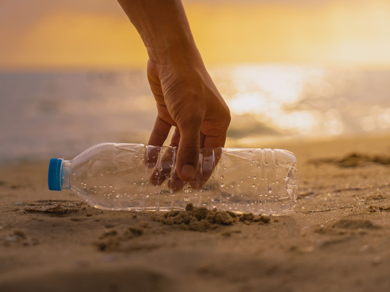 SDGs学習 海洋プログラム